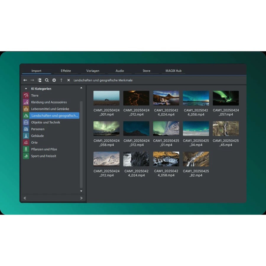 MAGIX Video Pro X17