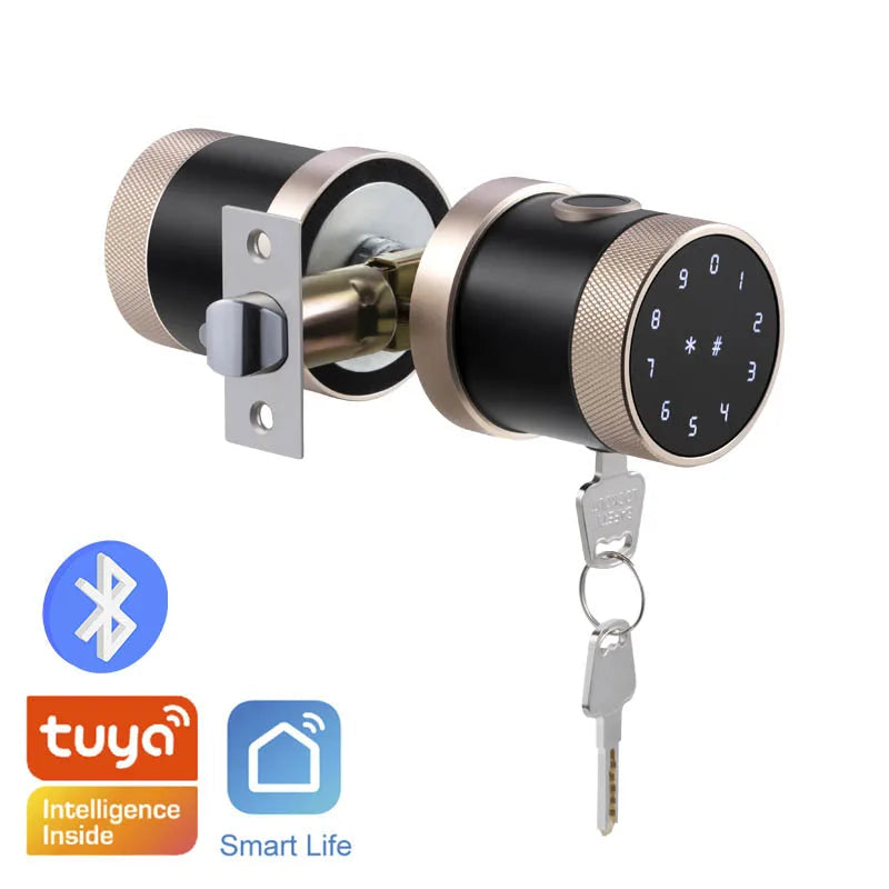 Stainless Steel Fingerprint Bluetooth WIFI Right Push Door Lock