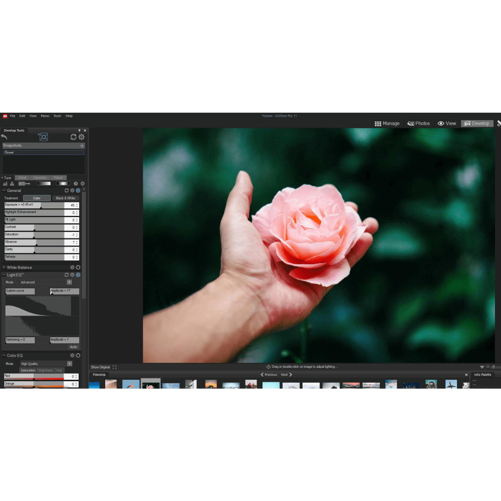 ACDSee Photo Studio Professional 2025