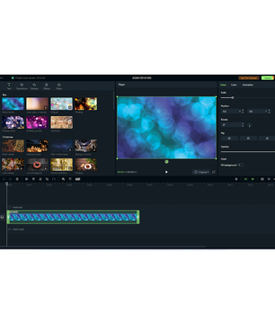EaseUS Video Editor
