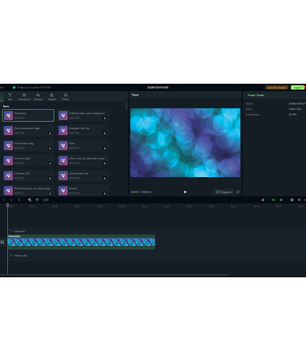 EaseUS Video Editor