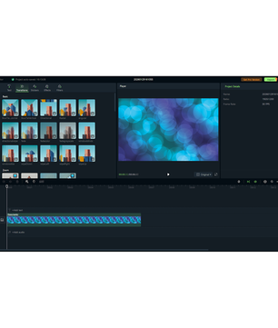 EaseUS Video Editor