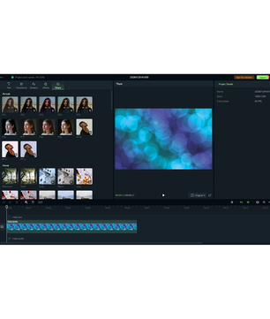 EaseUS Video Editor