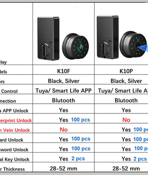 Raykube Electronic Palm Vein Recognition Digital Door Lock