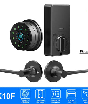 Raykube Electronic Palm Vein Recognition Digital Door Lock