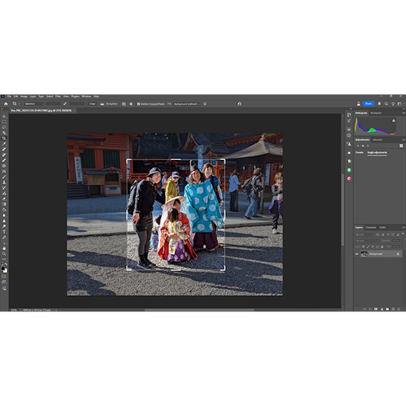 ACDSee Gemstone Photo Editor 16