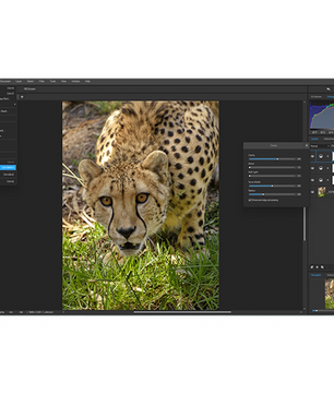 ACDSee Gemstone Photo Editor 16