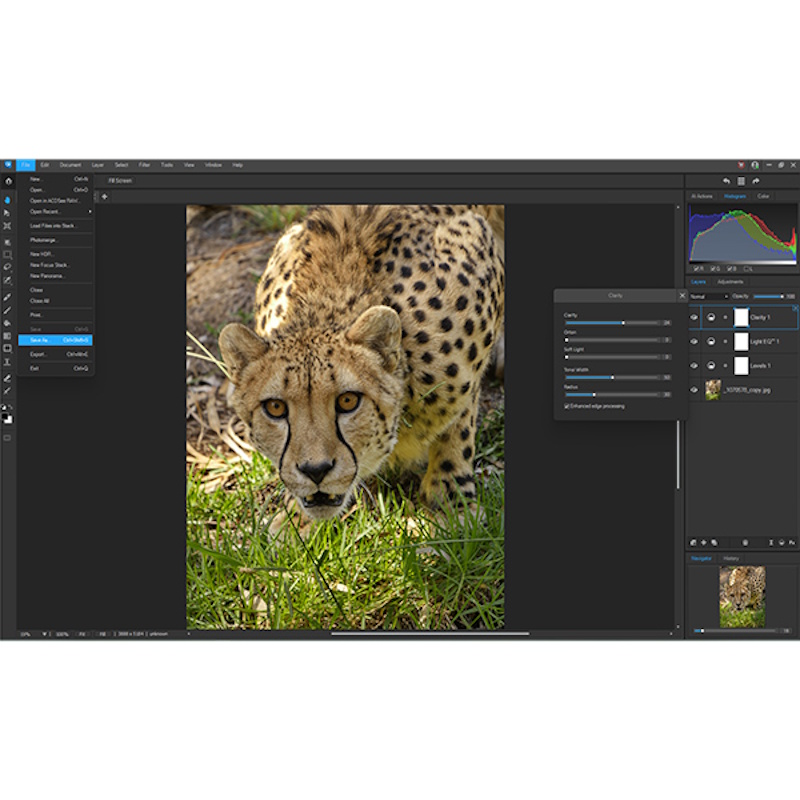 ACDSee Gemstone Photo Editor 16