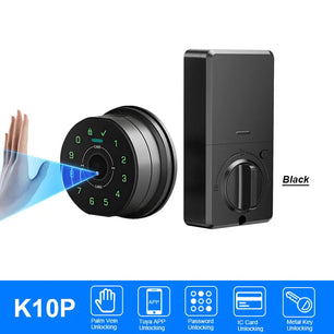 Raykube Electronic Palm Vein Recognition Digital Door Lock