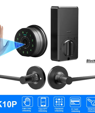 Raykube Electronic Palm Vein Recognition Digital Door Lock