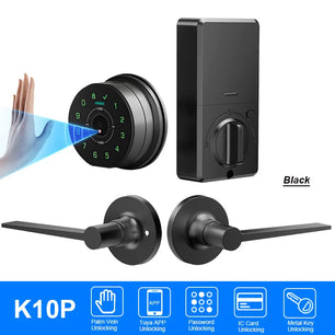 Raykube Electronic Palm Vein Recognition Digital Door Lock