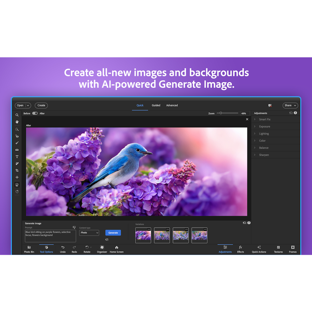Adobe Photoshop Elements & Premiere Elements