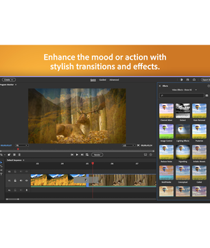 Adobe Photoshop Elements & Premiere Elements