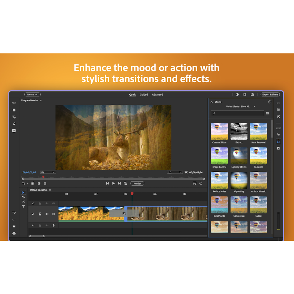 Adobe Photoshop Elements & Premiere Elements