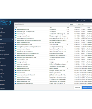 Ashampoo Privacy Inspector 3⁠