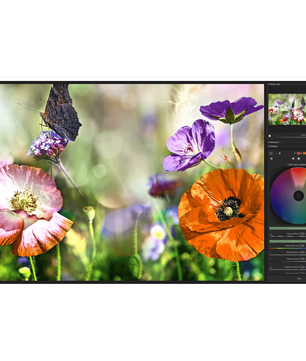 Ashampoo COLOR #8 Professional