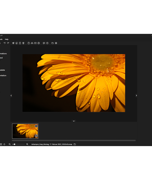 Ashampoo Snap 17