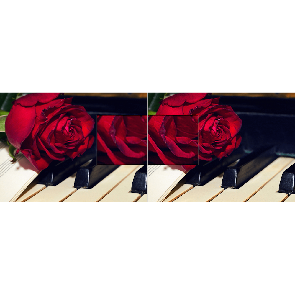 Ashampoo ZOOM #3 Professional