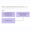 Digimune DigiGuard Business Premium