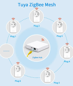 LoraTap 16A Power Plastic Remote Voice Control Plug Switch