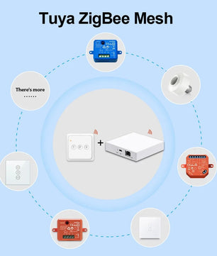 LoraTap Plastic Panel Wireless Voice Control Wall Mounted Switch