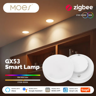 MOES Dimmable LED Filament Zigbee Voice Control Smart Bulb