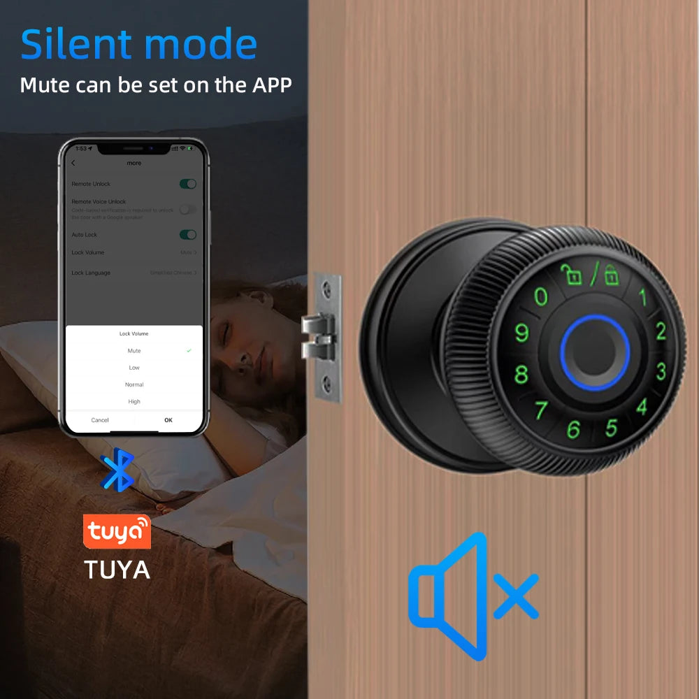 Zinc Alloy Fingerprint Bluetooth Dry Battery Reversible Door Lock