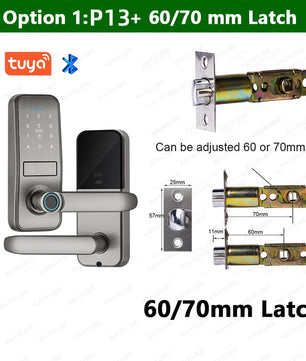Aluminium Alloy Fingerprint Bluetooth Reversible Handle Door Lock