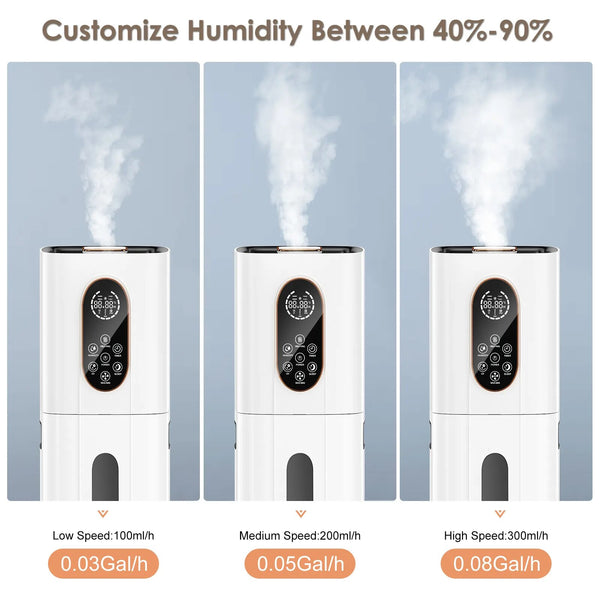 Kemei 10L 220V Spray Mist Ultrasonic Mini Humidifier For House