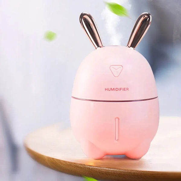 300ML 5V Spray Mist Discharge Mini Portable Humidifier For Home