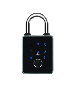 Aluminium Alloy Fingerprint Waterproof Reversible Door Lock