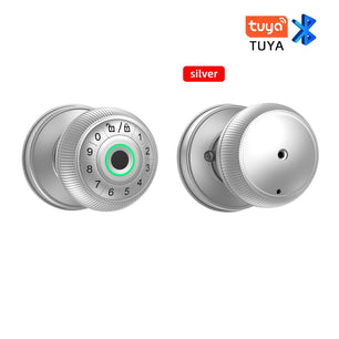 Zinc Alloy Fingerprint Bluetooth Dry Battery Reversible Door Lock