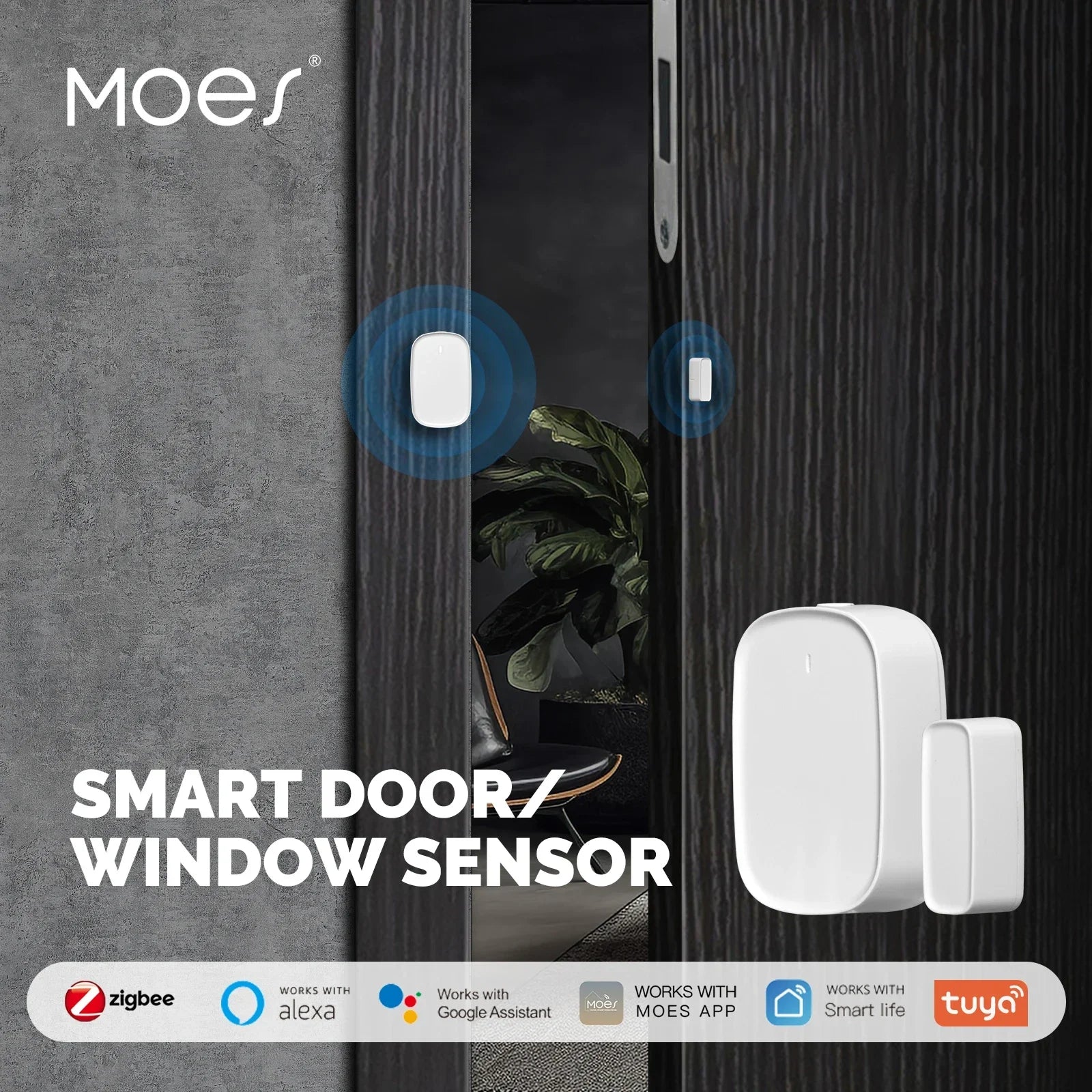 Moes Plastic 2.4GHz Smart Window Door Gate Sensor Detector