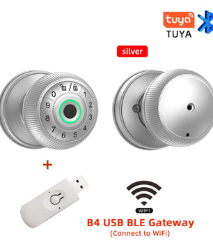 Zinc Alloy Fingerprint Bluetooth Dry Battery Reversible Door Lock