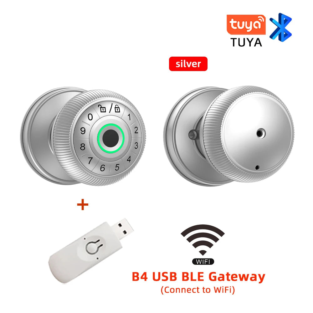 Zinc Alloy Fingerprint Bluetooth Dry Battery Reversible Door Lock
