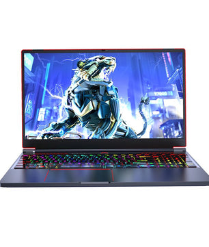 Topton i7-10870H i9-10885H 64GB RAM 4TB SSD 16.1 Inch Laptop