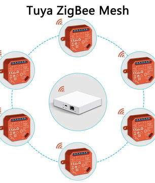 LoraTap 240V 300W Plastic Curtain Roller Shutter Switch Module