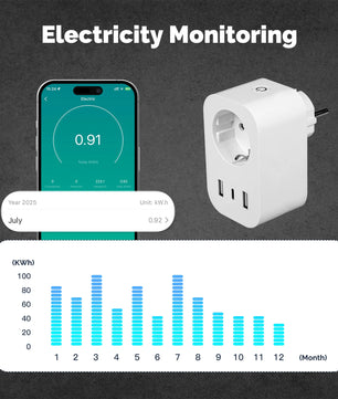 MOES WiFi 16A Plug USB Type-C Power Monitor with Alexa Google Home