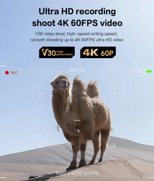 64GB 128GB 256GB V30 140MB/s Read Speed SD Card for Camera