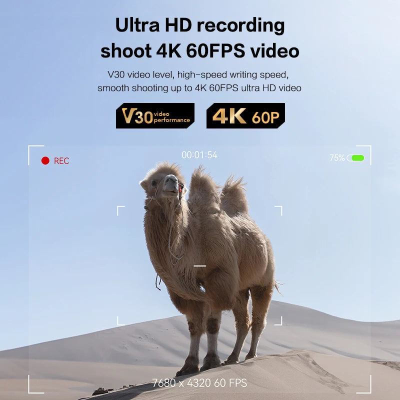 64GB 128GB 256GB V30 140MB/s Read Speed SD Card for Camera