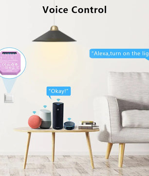 LoraTap 16A Plastic Automatic WIFI Relay Breaker Smart Module