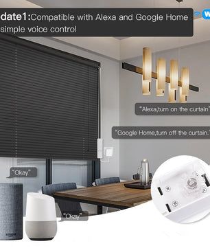 Moes Plastic Remote Control Smart WIFI Chain Roller Curtain Motor