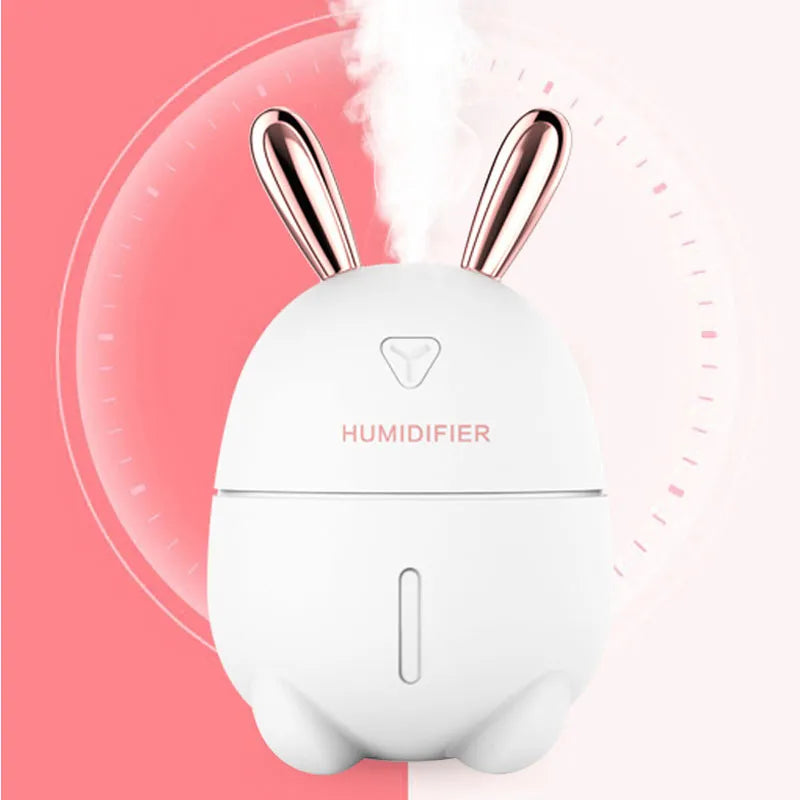 300ML 5V Spray Mist Discharge Mini Portable Humidifier For Home