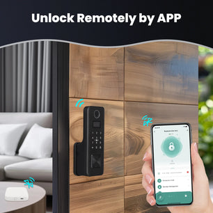 Moes Tuya Bluetooth Fingerprint Password Waterproof Door Lock