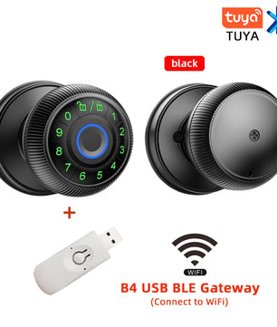 Zinc Alloy Fingerprint Bluetooth Dry Battery Reversible Door Lock