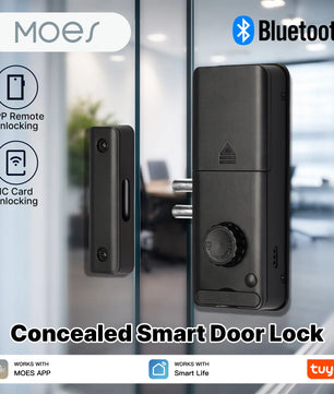 Moes Bluetooth Electronic Smart Magnetic Automatic Door Lock