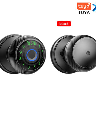 Zinc Alloy Fingerprint Bluetooth Dry Battery Reversible Door Lock