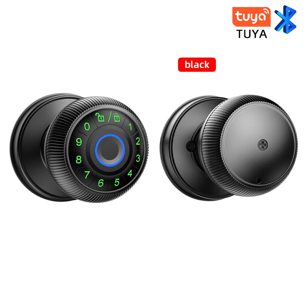 Zinc Alloy Fingerprint Bluetooth Dry Battery Reversible Door Lock