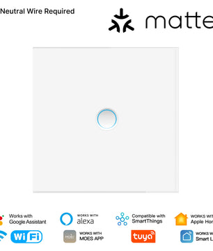 MOES WiFi Smart Glass Panel Light Switch with Alexa Google Home