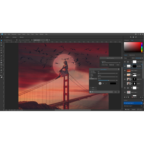 ACDSee Gemstone Photo Editor 12